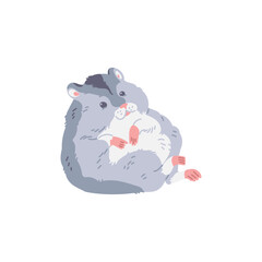 Cute gray fat hamster with white belly, funny fluffy pet with pink paws, vector cartoon small adorable home animal