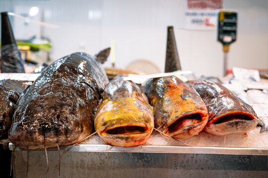 Fresh raw fiah at the market