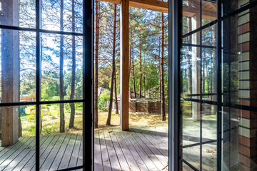 Looking through the window, pine forests at sunrise