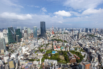 Fototapeta na wymiar Vue de la ville de Tokyo depuis l'observatoire de la tour Mori