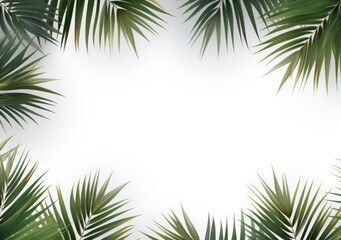Fototapeta na wymiar Group of green leaf frame on white. Summer palm leaves on White background, AI Generative.