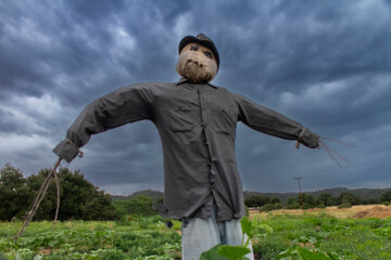 Scarecrow with a scary look at a farm with storm clouds