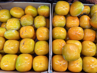 店頭に並んだ柿
