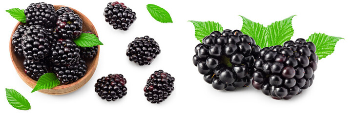 blackberries with leaves in wooden bowl isolated on white background. clipping path. top view