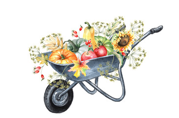 Watercolor garden wheelbarrow with harvest of pumpkins and apples, isolated on white background