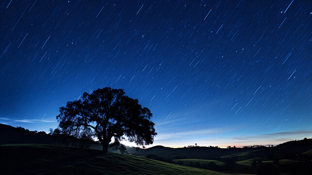 丘の上の木のシルエットと星の軌跡