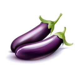 Fresh brinjal in white background. vector illustration