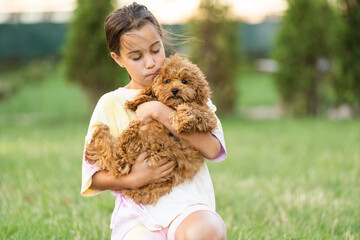 Little girl with a maltese puppy, outdoor summer.
