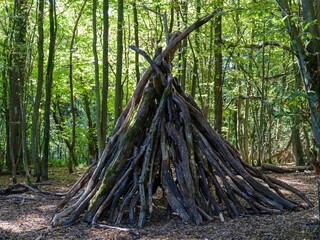 Hütte aus Ästen im Wald