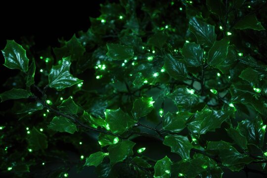 a close shot of blinking led lights on fresh green holly branches