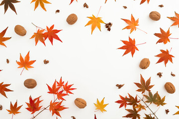 Autumnal frame with fall maple leaves and walnut on white. Flat lay, top view. Thanksgiving day...