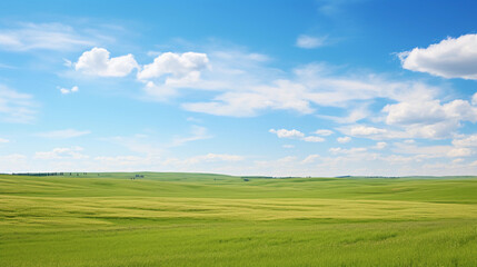 Fototapeta premium A wide-angle shot of a stunning prairie landscape with space for text, with a clear sky providing ample space for text placement. AI generated