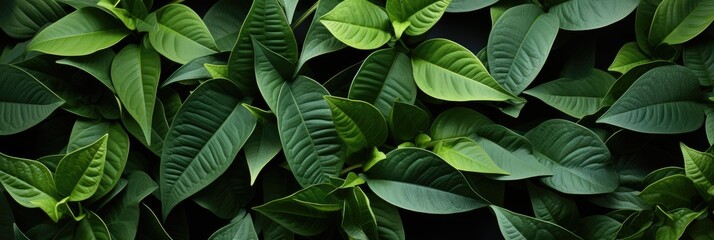 Seamless Background Of Wavy Leaves, Hd Background, Background For Website