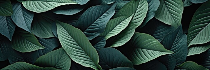 Feather-like leaves , Hd Background, Background For Computers Wallpaper