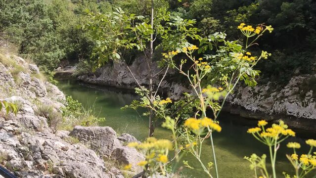 Corso d'acqua nel parco della gola della Rossa e di Frasassi nelle Marche