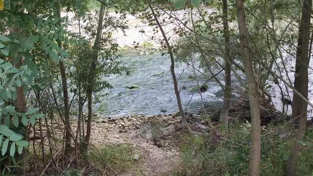 Corso d'acqua nel parco della gola della Rossa e di Frasassi nelle Marche
