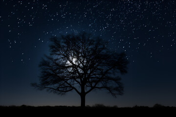 night sky with tree