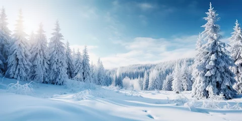 Gordijnen A picturesque winter wonderland © Zaleman