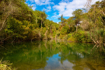 Pond in the forest or a park in the autumn