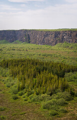 The Asbyrgi Canyon in north Iceland