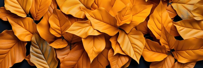 Orange Leaves, Hd Background, Background For Computers Wallpaper