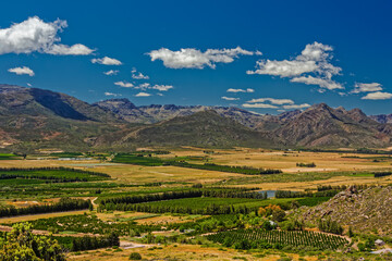 Naklejka premium Fertile plantations and farmland in Olifants River valley with Koue Bokkeveld Mountains in the background, Western Cape, South Africa