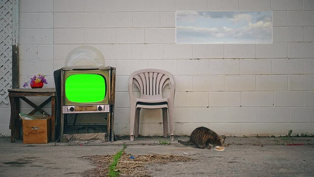 Old Vintage TV Green Screen Zoom In Television Outside. Broken vintage television with green screen left outside of a house with a cat eating on the ground. Zoom in