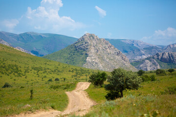 Fototapeta premium Beautiful highlands nature landscape in summer. Panoramic view of the mountains in the distance, blue clouds over the mountains. Long banner of mountain panorama.