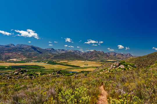 Hiking trail in Olifants River Mountains overlooking farmlands and plantations and the Koue Bokkeveld Mountains, Western Cape, South Africa