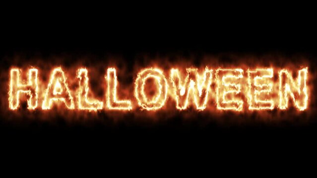 Happy halloween neon animation happy halloween pumpkin spooky ghost spider cobweb bat halloween day.