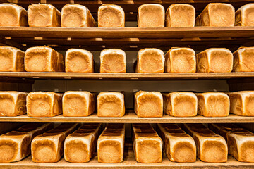 食パン
KOHEI TAKE ©︎ TAKE PHOTO All RIGHT RESERVED