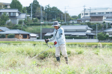 草刈りをする日本人男性