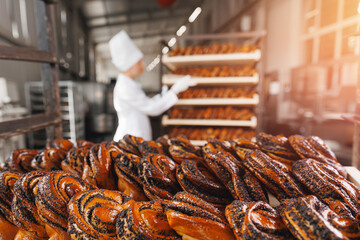 Worker woman baker in chef uniform hold buns with poppy seeds. Different types of artisan craft bread in bakery factory plant
