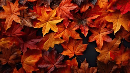 Naklejka na ściany i meble Autumn leaves background. Colorful autumn leaves background banner . Top view. ai generative
