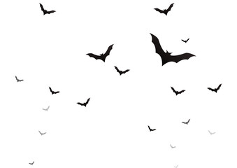 flock of bats on transparent background