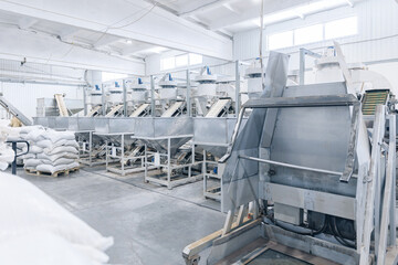 Industrial Automated production for pine nut shelling. Concept modern food industry