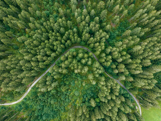Aerial view of a walking path across the forest with trees in Grindelwald, Bernese Alps, Swiss Alps, Bern, Switzerland.