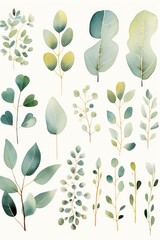 Eucalyptus Botanical Illustration in Watercolor with Mysterious Traditional Chinese Painting Style