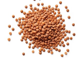 Nutritious Brown Lentils Displaying Richness of Natural Protein