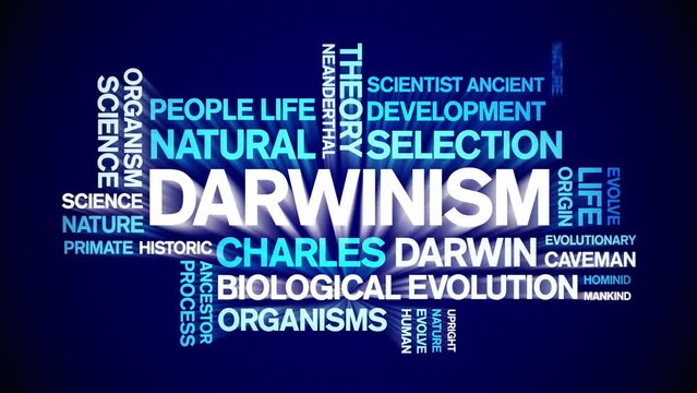 Darwinism animated tag word cloud;text design animation kinetic typography seamless loop.