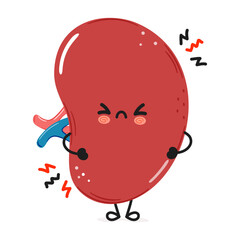 Cute angry Spleen organ character. Vector hand drawn cartoon kawaii character illustration icon. Isolated on white background. Sad Spleen organ character concept