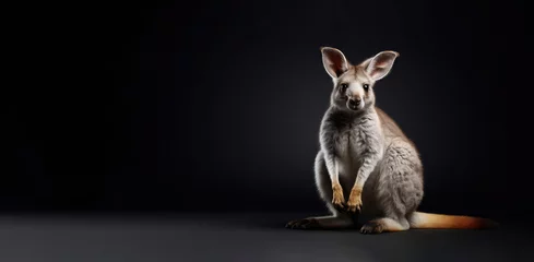 Keuken spatwand met foto kangaroo in a black background © Sanja