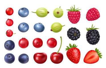 Set of realistic berries smoothie and juice ingredients, wild cartoon berry vector. Fresh summer food, gooseberry and raspberry, red currant and blueberry, cherry and dewberry, cranberry