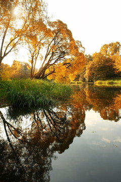Beautiful autumn landscape. lake and yellow-orange foliage trees in park. fall season. atmosphere autumnal nature image