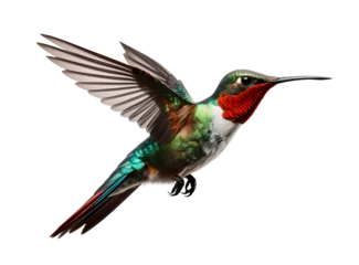 Foto op Plexiglas Flying Hummingbird bird isolated on white background, animal world and fauna concept, realistic design illustration, generative ai © rvlsoft