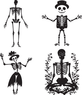 Human bones skeletons. Different skeleton posing  isolated set on white background vector illustration silhouette