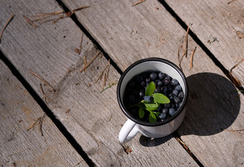 mug with ripe fresh blueberries