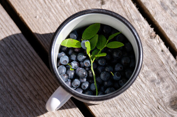 mug with ripe fresh blueberries