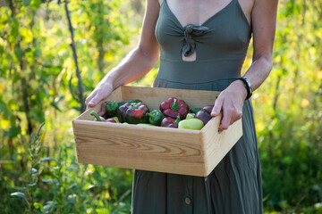 fresh vegetables collected from the garden