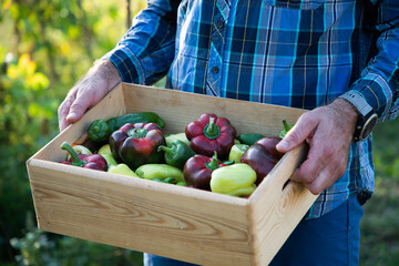 fresh vegetables collected from the garden